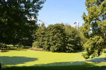 Summer in the Leopold park in the city of Brussels, pond, green lawns and old buildings
