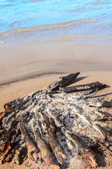 Charcoal on beach