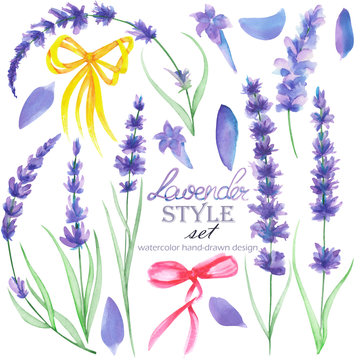 Set, collection of the isolated floral lavender elements and decoration bows, hand drawn in a watercolor on a white background