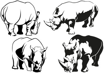 Rhinoceros Tattoo Drawings - Black and White Illustrations, Vector