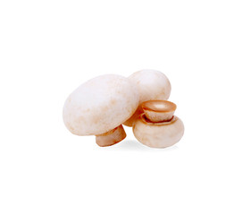 Champignon Isolated on White Background