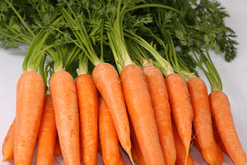 carrots isolated on white background