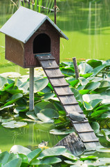 Little wooden house on a pond with small turtle