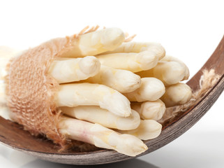 Weißer Spargel auf Palmblatt