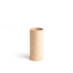 Paper tube of toilet paper isolated on white