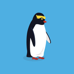 Animal Pinguin Design Flat