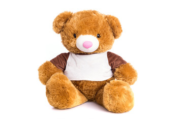 Big toy brown bear isolated on white