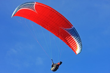 paraglider