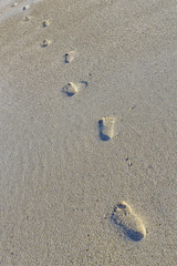 Child's footprints on sand