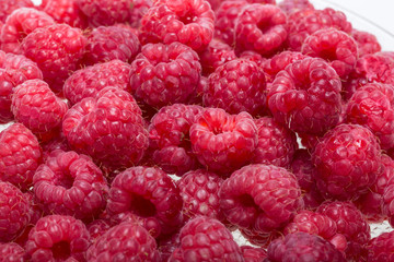 A beautiful selection of freshly picked ripe red raspberries.