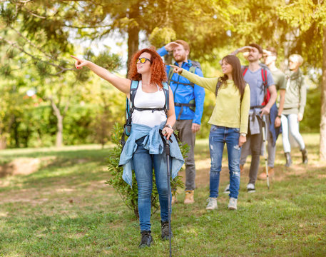 Group Of Walkers In Forest Pointing Something