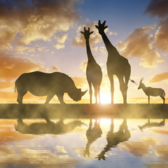 Fototapeta na wymiar Silhouette of a Rhino with Giraffes and Antelope at sunset