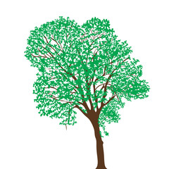 tree  isolated on white. Vector illustration