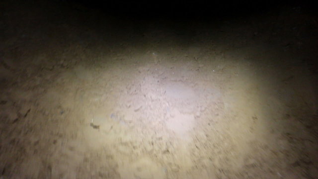 Walk through dungeon. Camera shoots under foot and then into adit of underground passage
