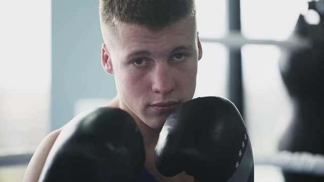 Young boxer looking at camera