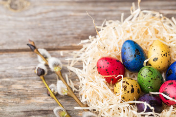 Dyed quail eggs in a nest with willow branch on wooden background