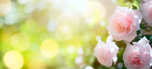 Foto op Plexiglas kunst abstracte lente of zomer bloemen achtergrond © Konstiantyn