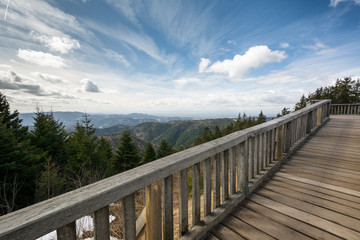 Schliffkopf - Schwarzwald