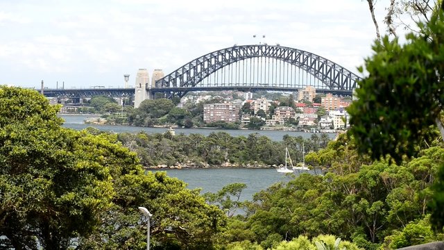 Sydney Harbour Bridge from the zoo