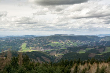 Schliffkopf - Schwarzwald