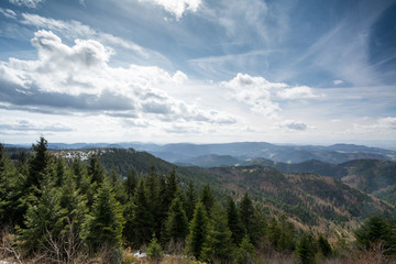 Schliffkopf - Schwarzwald