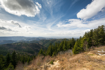 Schliffkopf - Schwarzwald