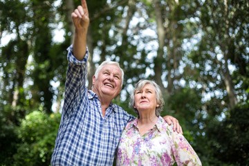Senior man pointing while standing by wife in back yard