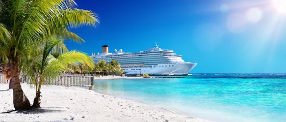 Foto op Canvas Cruise naar het Caribisch gebied met palmboom op Coral Beach © Romolo Tavani
