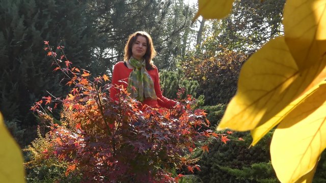 Яркие краски осени в предгорьях Кавказа.