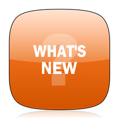 new orange square web design glossy icon