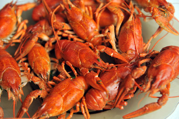 cooked Crayfish isolated on a white background.