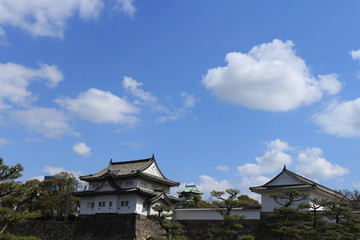 Fototapeta premium 大阪城公園