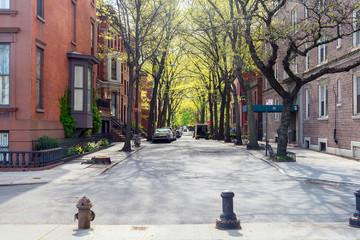 sunny day at the street in Brooklyn, New York - obrazy, fototapety, plakaty