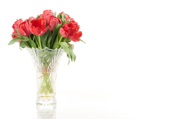 Bouquet of red fresh spring tulip flowers in vase on left side.