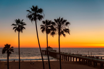 California beach at Sunset. Palm trees on Manhattan beach at sunset and pier, Los Angeles,...