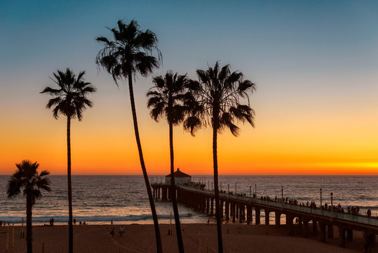 California beach at Sunset. Palm trees on Manhattan beach at sunset and pier, Los Angeles, California.