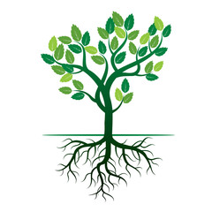 Obraz premium Green Tree and Roots. Vector Illustration.