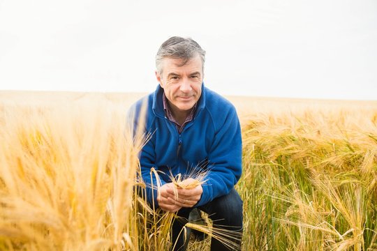 Portrait of farmer holding ears of wheat