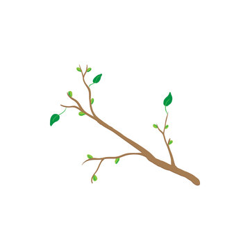 Spring tree branch icon, cartoon style