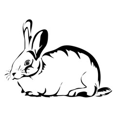 Outline rabbit vector image. Can be use for logo and tattoo