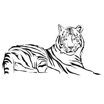 Outline lying tiger vector image. Can be use for logo and tattoo