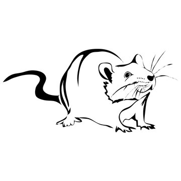 Outline rat vector image. Can be use for logo and tattoo