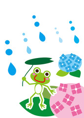 梅雨　カエルとアジサイ