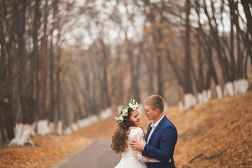 Happy wedding couple, bride and groom walking in the autumn forest, park