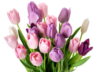 Colorful tulips flowers bouquet
