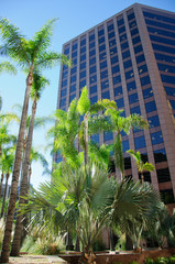 Fototapeta na wymiar City park with modern building background in Los Angeles