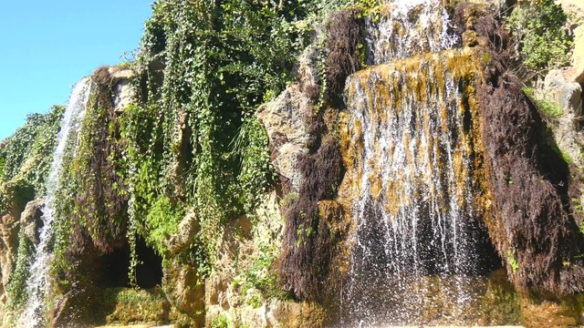 Small lake in the Genoves Park, Cadiz, Andalusia, Spain