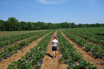 young girl walking through farm field