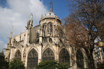 Fototapeta na wymiar The Cathedral of Notre Dame de Paris, France