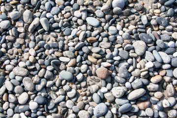 Galets sur la plage